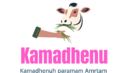 cropped a9700b9a f021 4816 8499 b9ac04ec2122 1.png